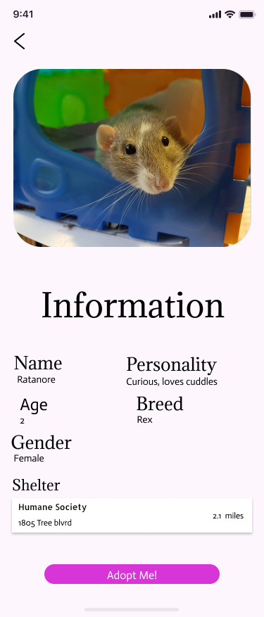 Information Page